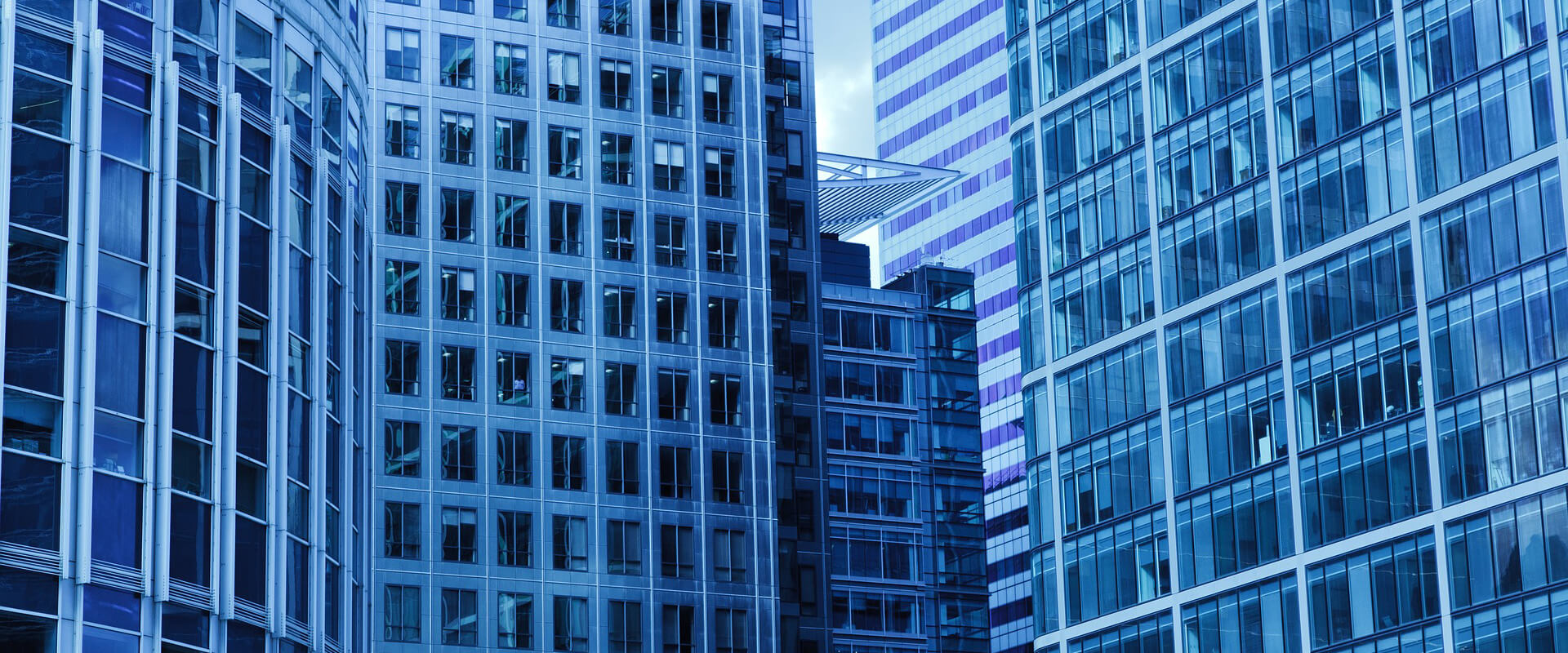 Oficinas Dolphin Consulting Group